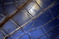 2015-01-03-13.05.56  Dragonfly